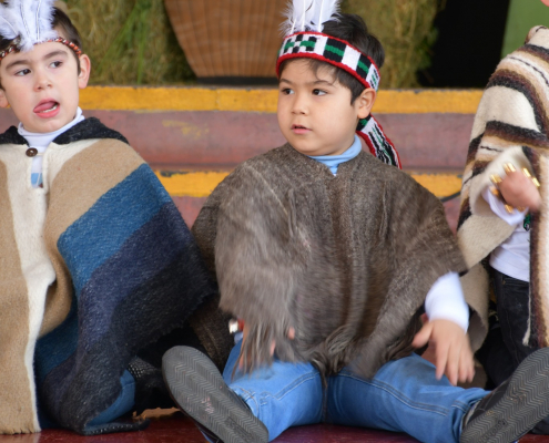 Baile "Fantasía Mapuche"